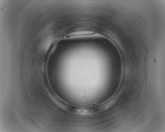 X0000086080265200703231412