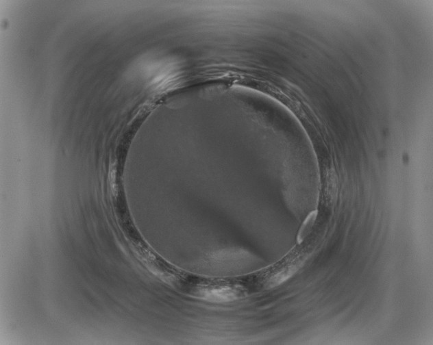 X0000086080267200703231412