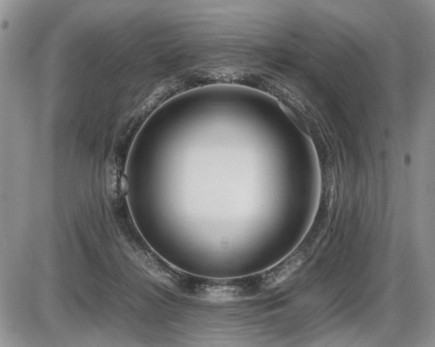 X0000086080268200703231412