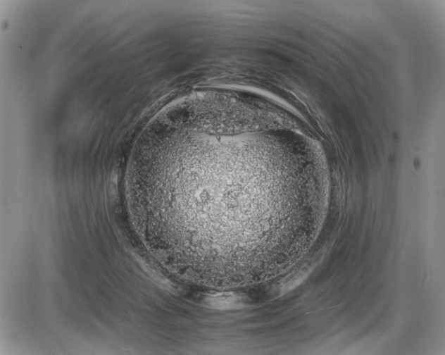 X0000086080269200703231412