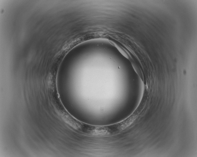 X0000086080270200703231412