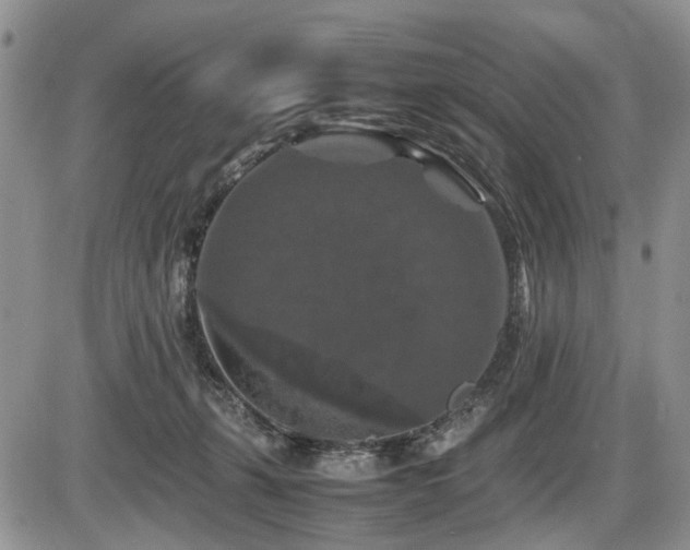 X0000086080271200703231412