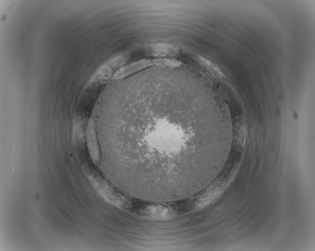 X0000086080272200703231412