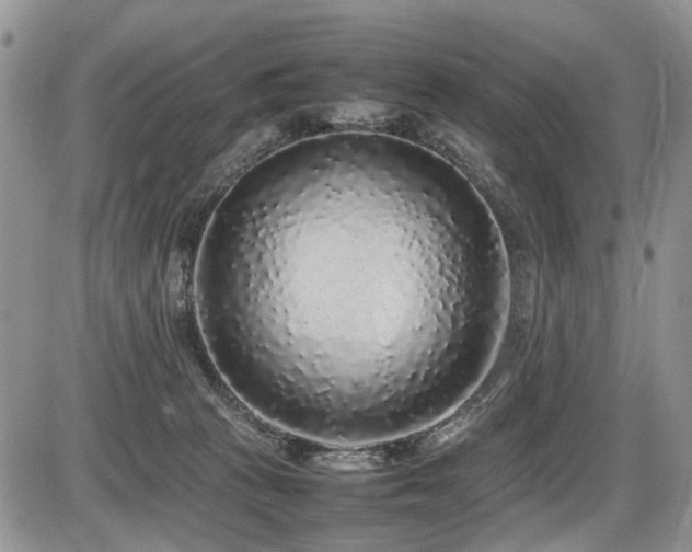 X0000086080273200703231412