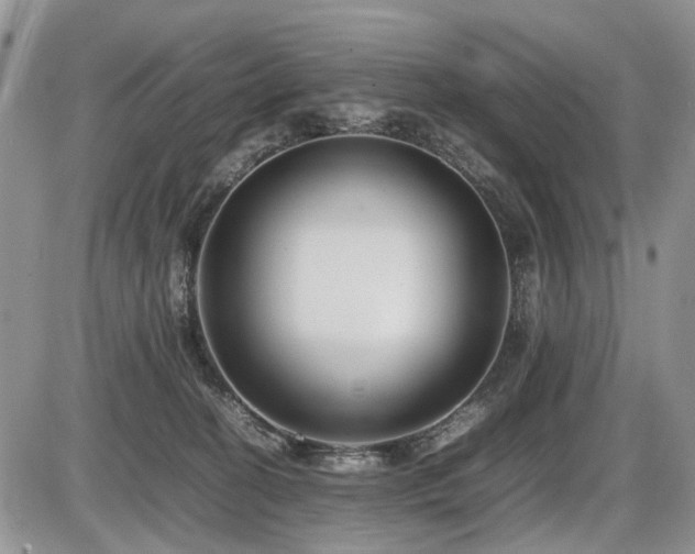 X0000086080274200703231412