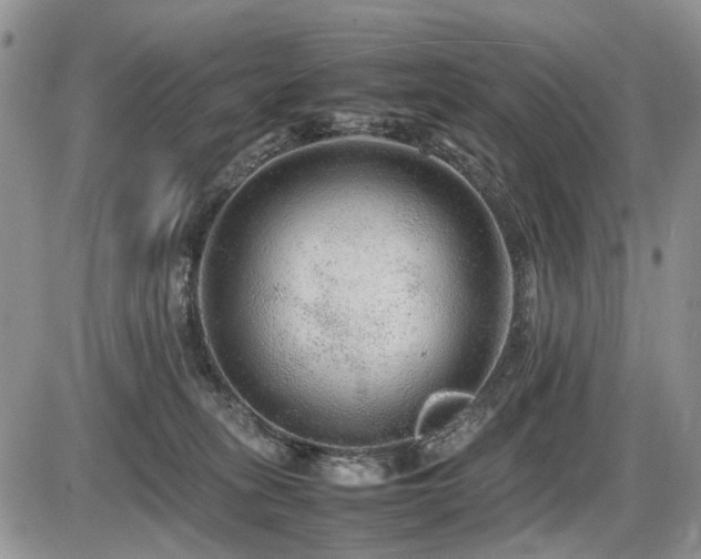 X0000086080275200703231412