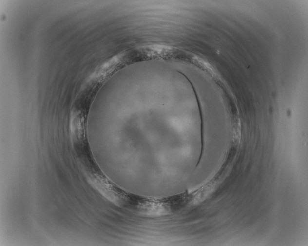 X0000086080276200703231412