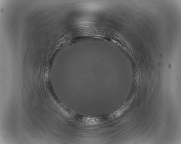 X0000086080277200703231412