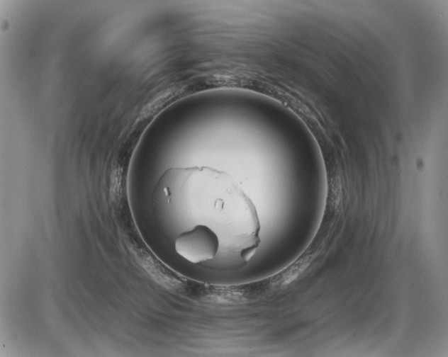 X0000086080278200703231412