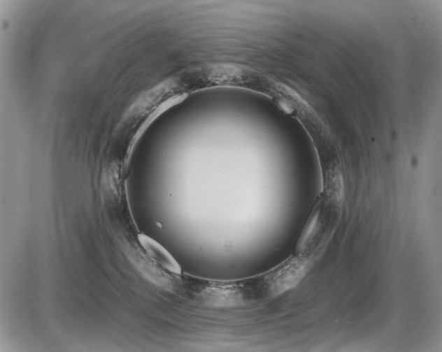 X0000086080280200703231412