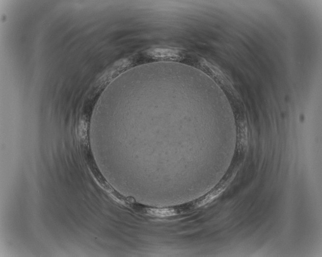 X0000086080281200703231412