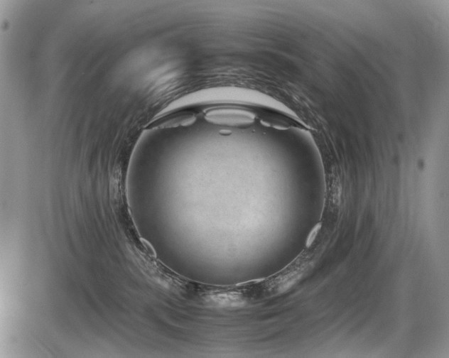 X0000086080283200703231412