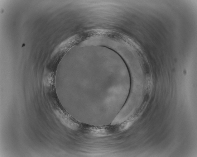 X0000086080284200703231412