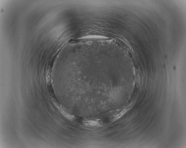 X0000086080285200703231412