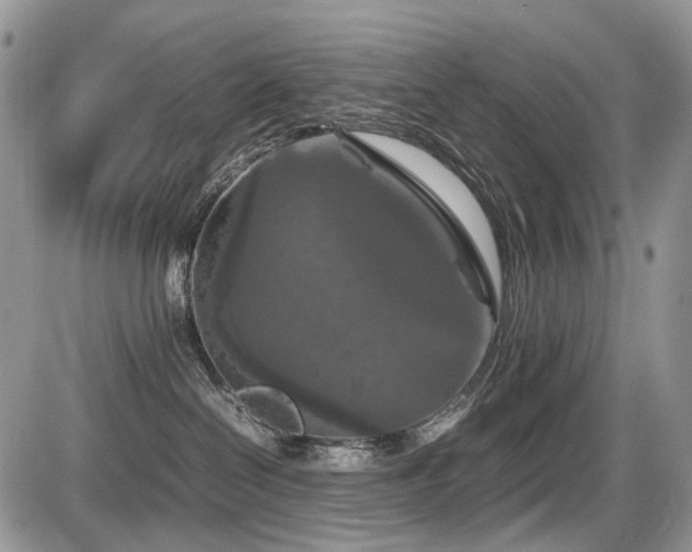 X0000086080286200703231412