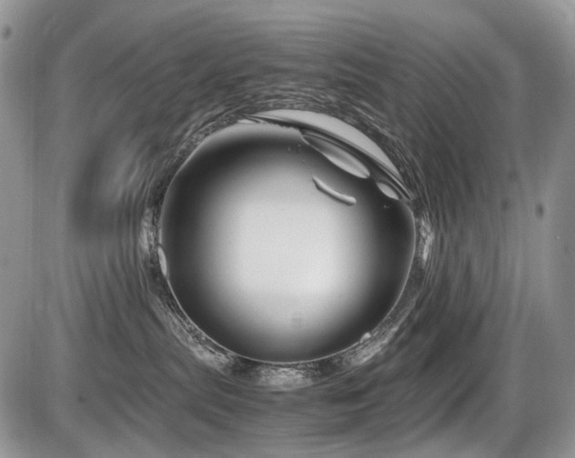 X0000086080287200703231412