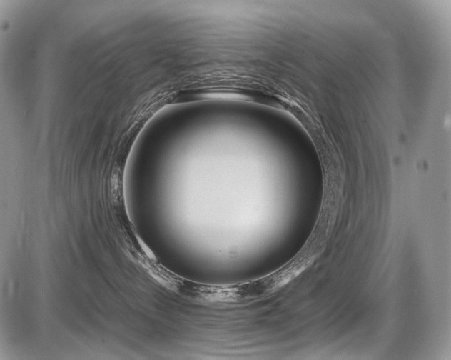 X0000086080288200703231412