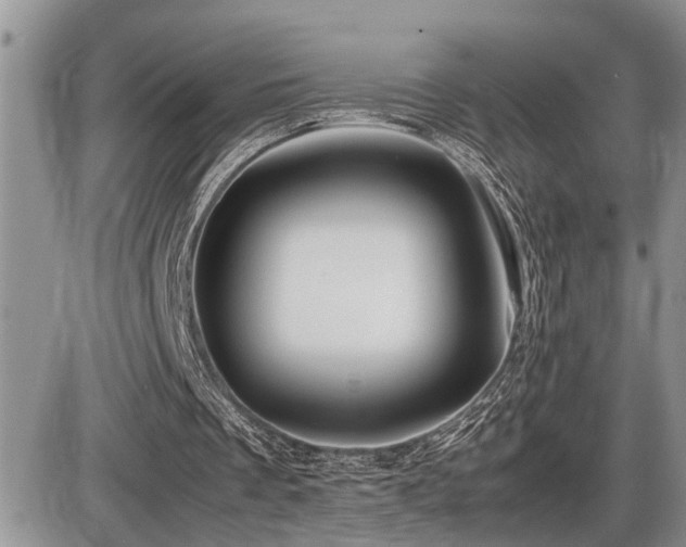 X0000086080289200703231412