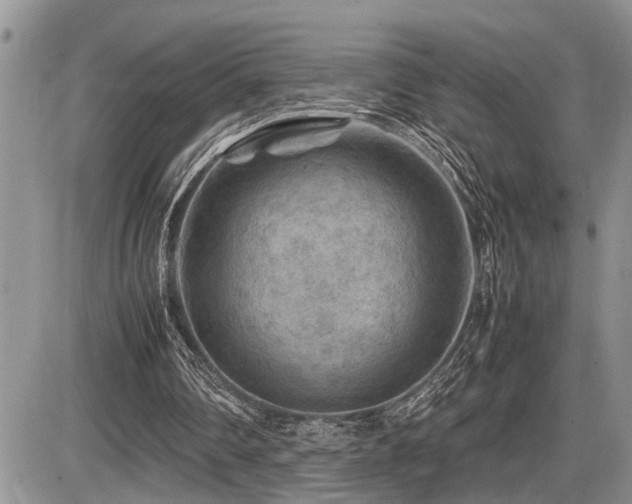 X0000086080290200703231412