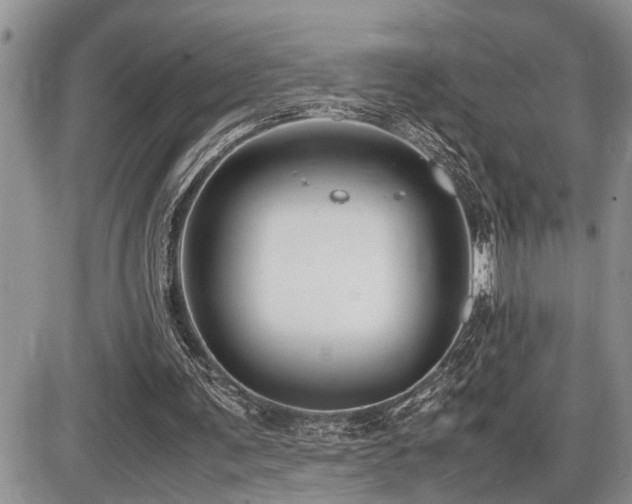 X0000086080291200703231412