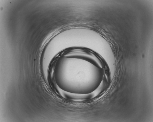 X0000086080293200703231412