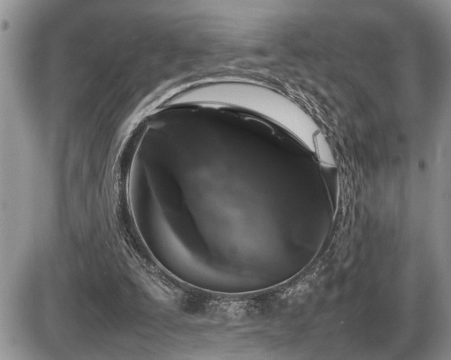 X0000086080295200703231412