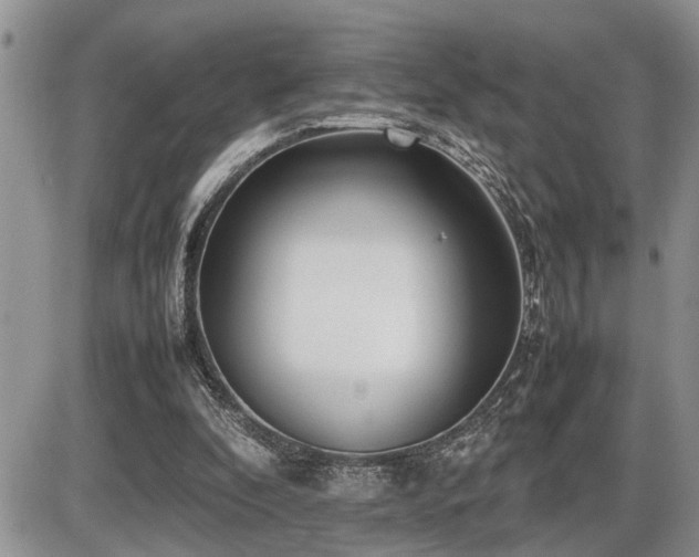 X0000086080296200703231412