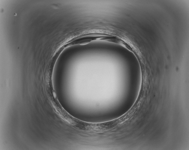 X0000086080297200703231412