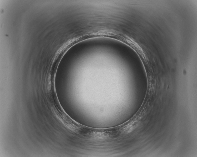 X0000086080298200703231411