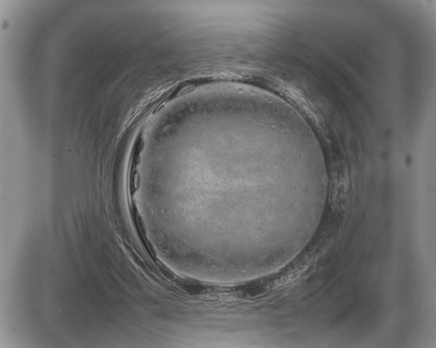 X0000086080299200703231411