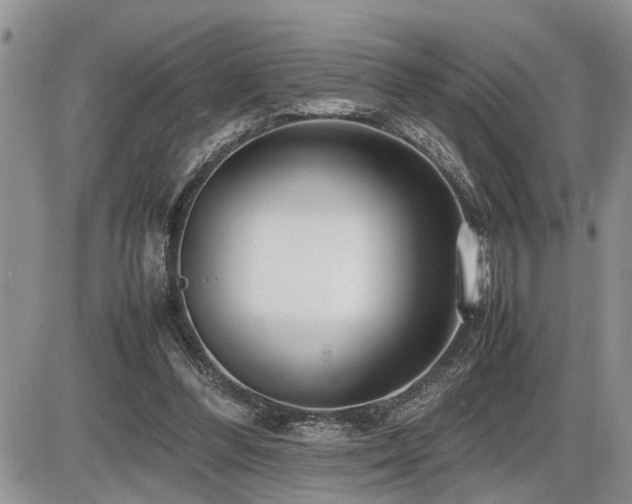 X0000086080300200703231411