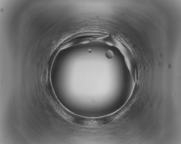 X0000086080301200703231411