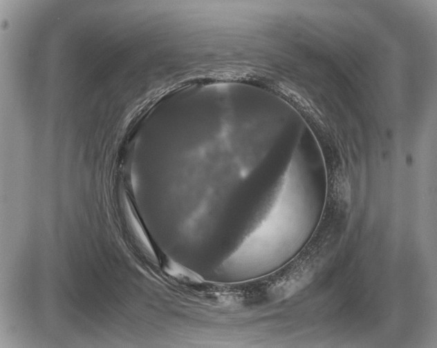 X0000086080303200703231411