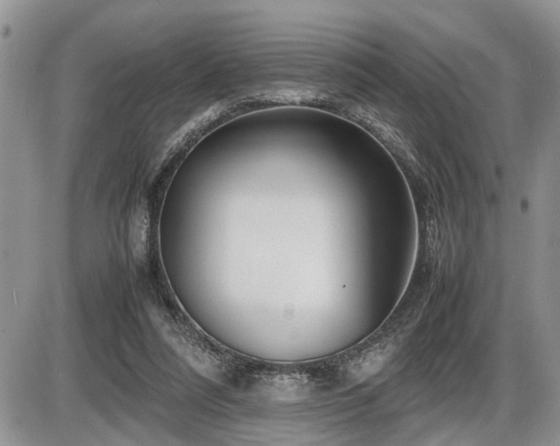 X0000086080304200703231411