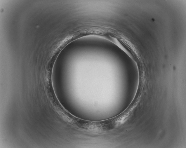 X0000086080305200703231411