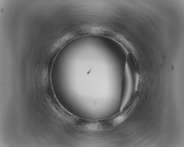 X0000086080306200703231411