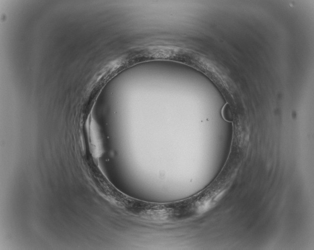 X0000086080307200703231411