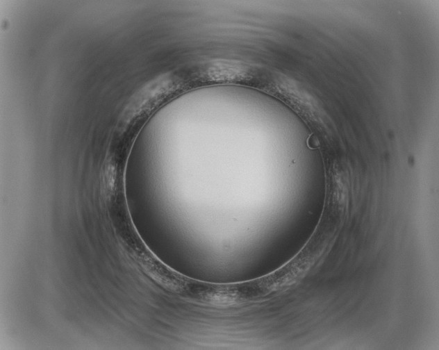 X0000086080308200703231411