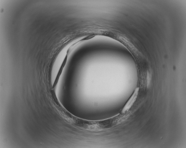 X0000086080309200703231411