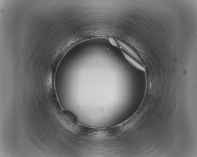 X0000086080310200703231411