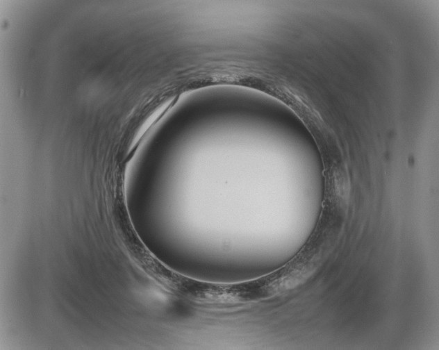 X0000086080311200703231411