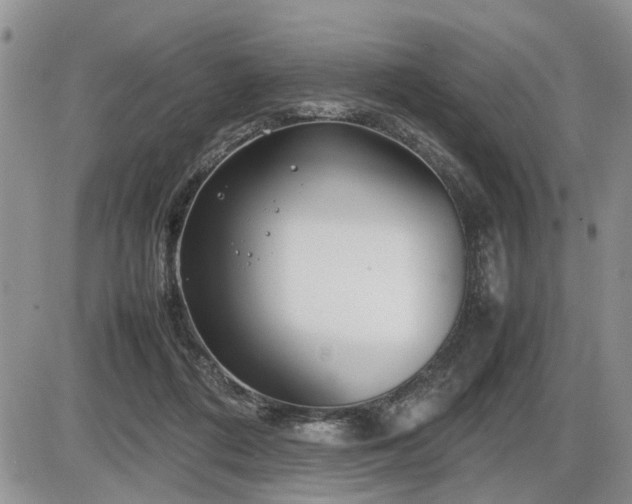 X0000086080312200703231411