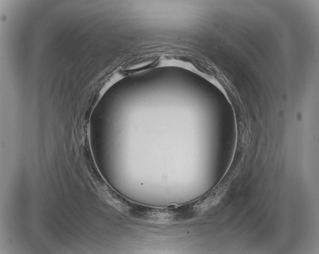 X0000086080313200703231411