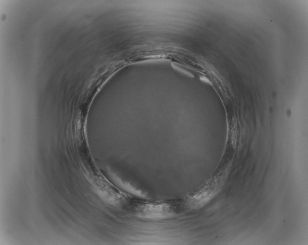 X0000086080314200703231411