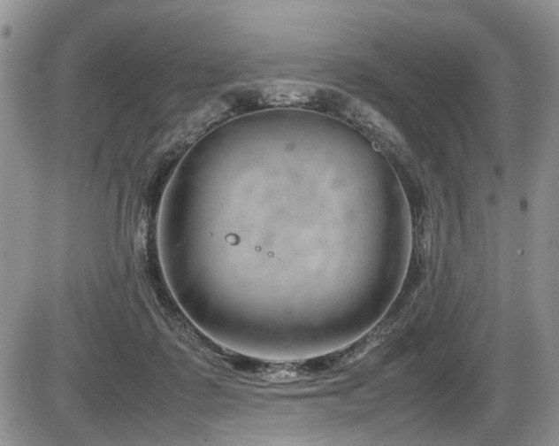 X0000086080315200703231411