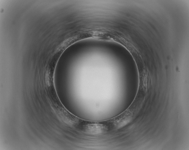 X0000086080316200703231411