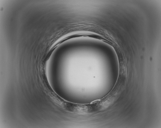 X0000086080317200703231411