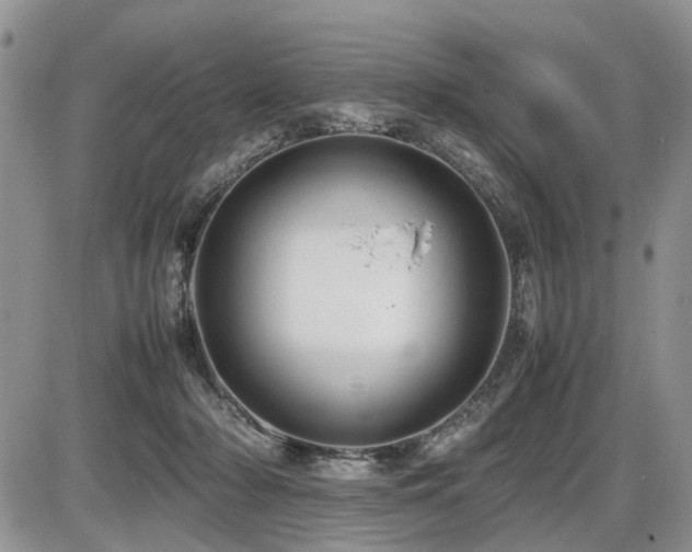 X0000086080318200703231411