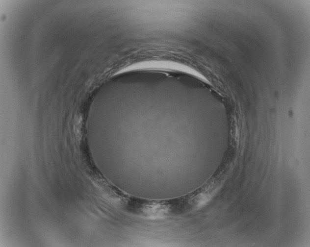 X0000086080319200703231411