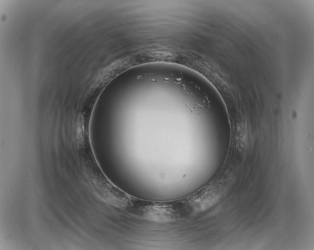 X0000086080320200703231411